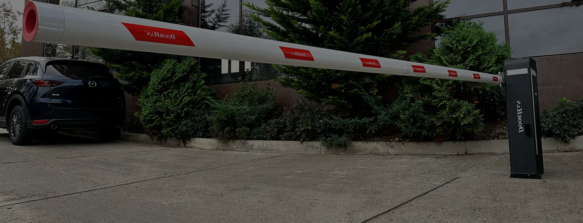 Услуги риелтора22222